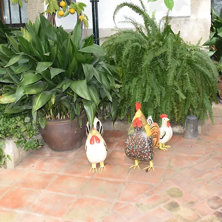 Antolina San Martin De Trevejo