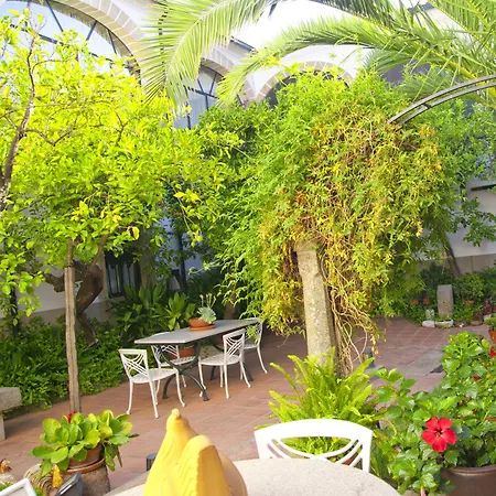 Antolina 招待所 圣马尔廷德特雷韦霍