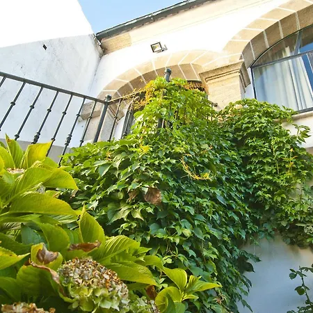 招待所 Antolina 圣马尔廷德特雷韦霍