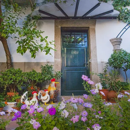 Antolina Gasthuis San Martín de Trevejo