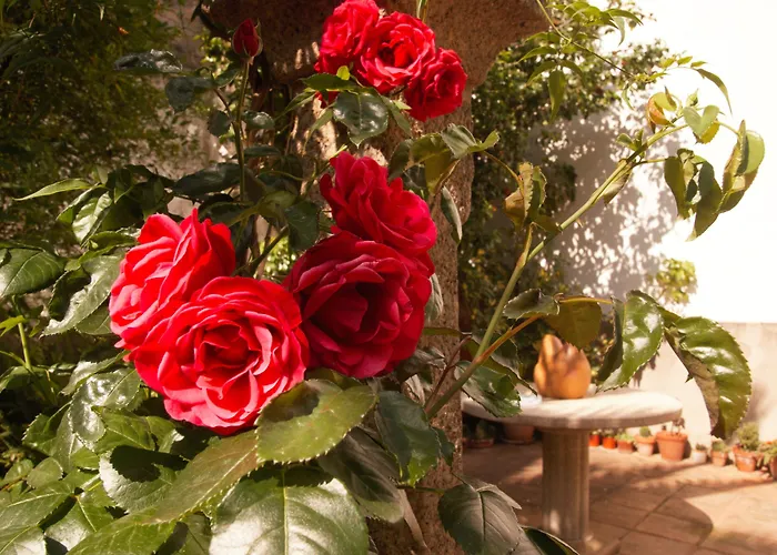 Πανσιόν Antolina